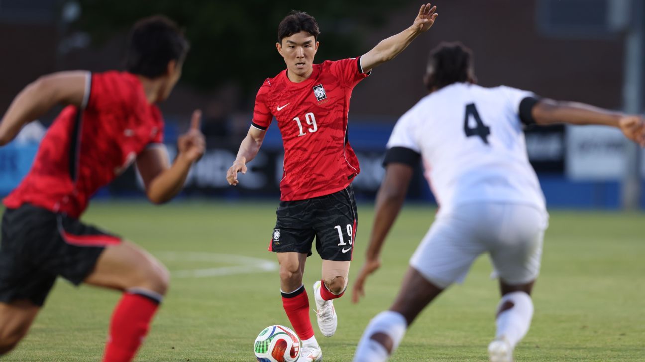 Midfield metronome Hwang could be key for South Korea at the World Cup