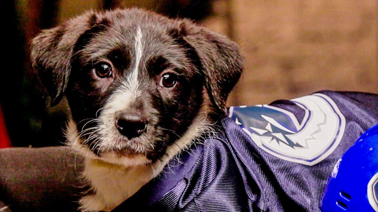 'Stanley Pup' 2026: Which dog name takes first place in our rankings?