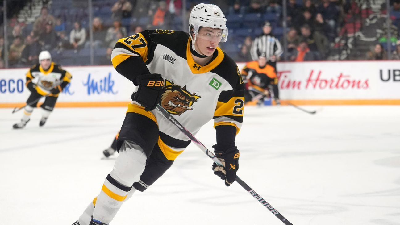 Kto zdominuje 2026? Ostatnie przewidywania przed draftem NHL