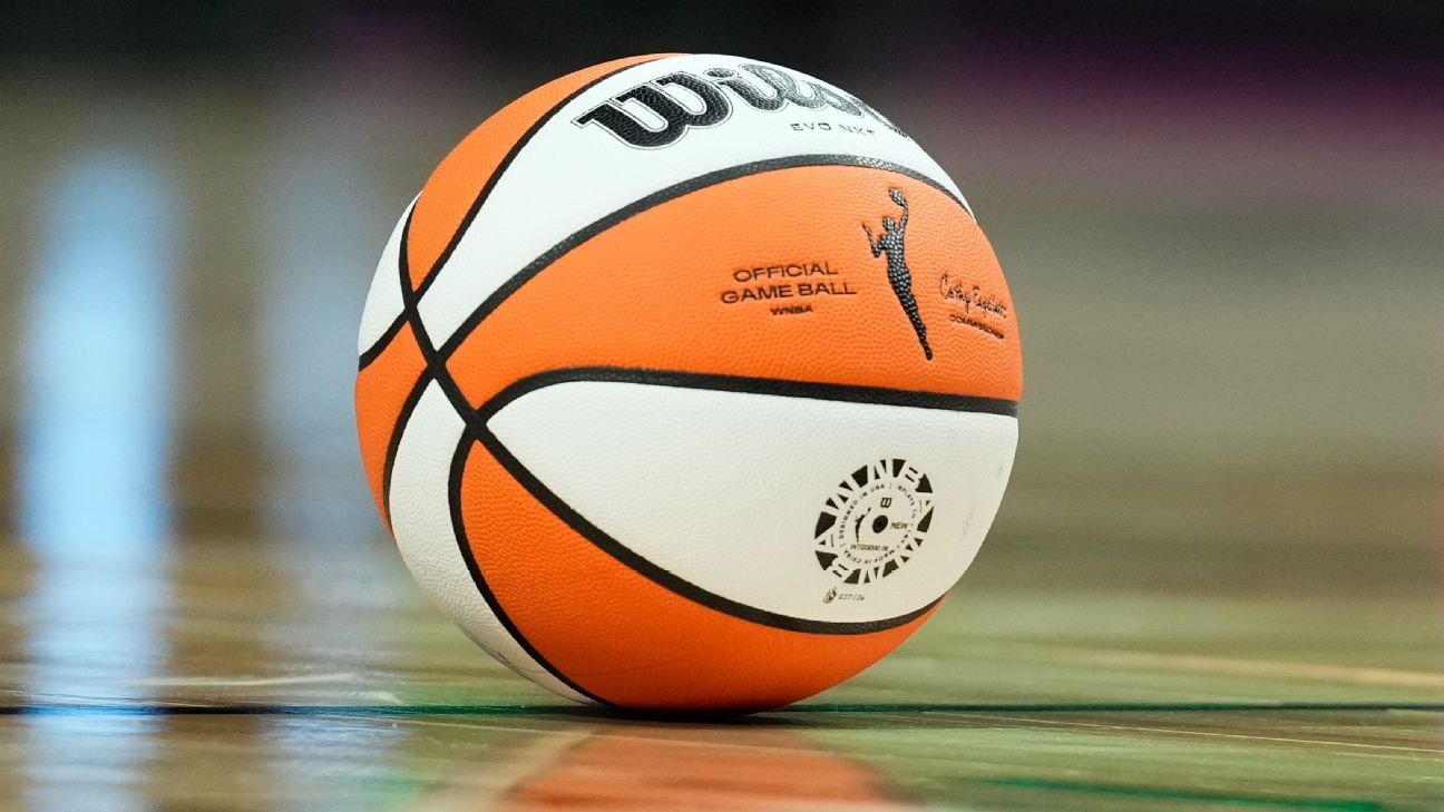 Social media abuse a topic at WNBA, PA meeting