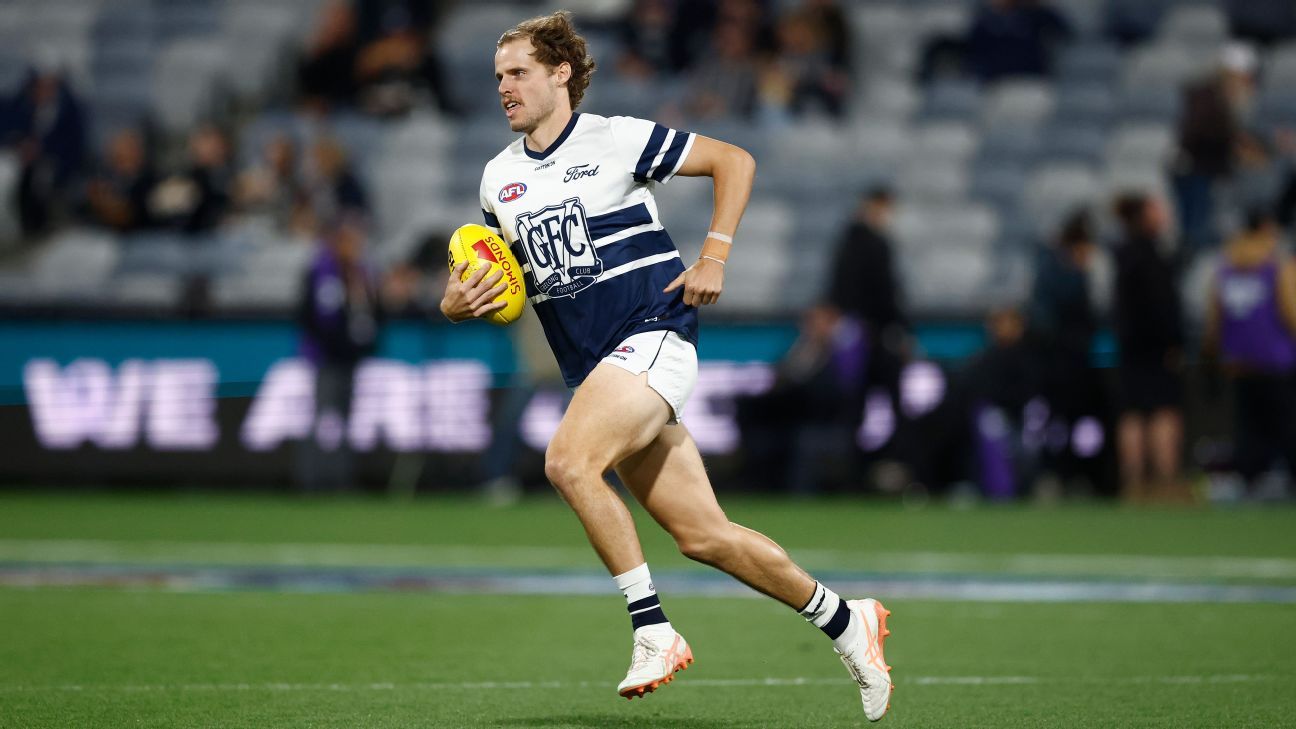 Cats star continues push for concussion answers