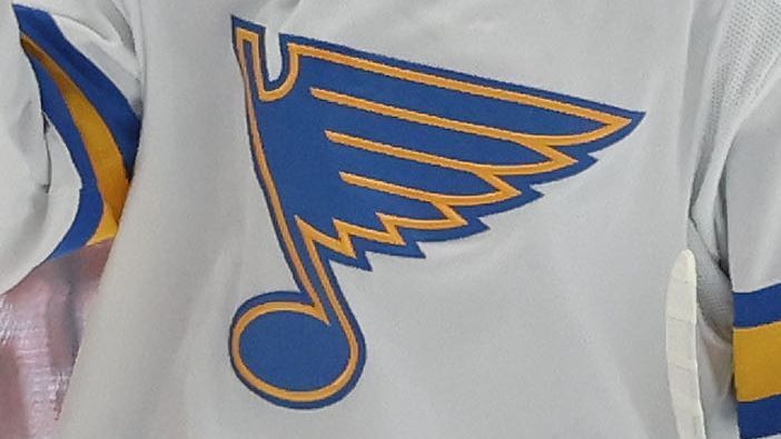 Blues condemn 'vile messages of hate' by fans at recent home game