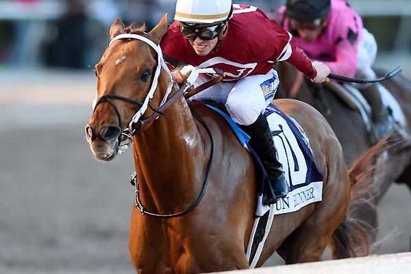 Gun Runner takes Pegasus in final race