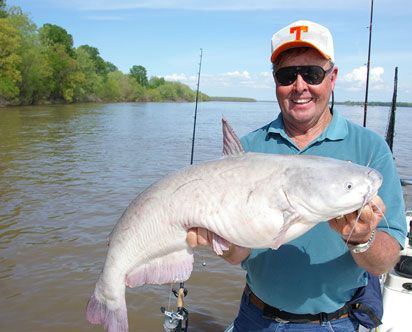 Break Out the Lights for Summer Catfish by Keith “Catfish” Sutton