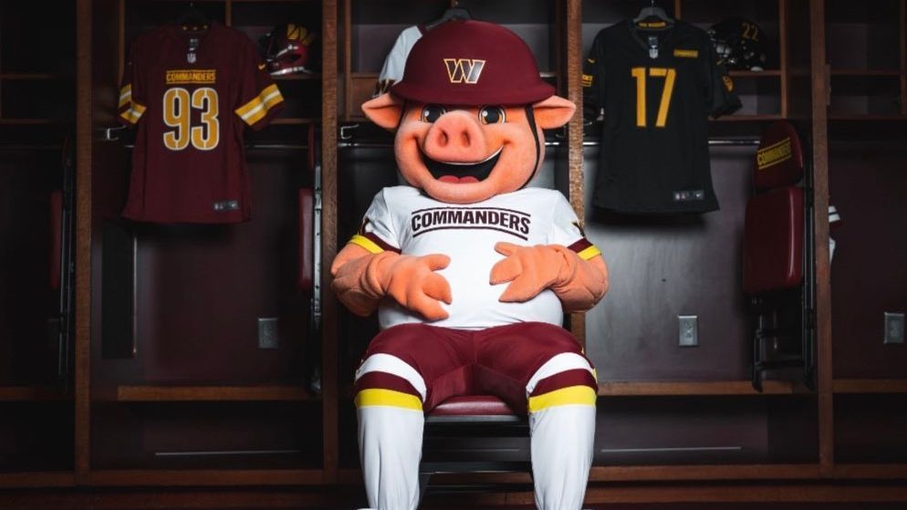  The Washington Commanders have introduced a new mascot and as the team tweeted it s kind of a pig deal Connecting to a historical part of the team s past the mascot is a pig that wears the Commanders uniform His name is Major Tuddy It s kind of a pig deal WELCOME OUR NEW PET pic twitter com N6eMy6goiV Washington Commanders Commanders January 1 2023 The pig type is a reference to The Hogs the nickname given to the franchise s offensive linemen during the 1980s and 1990s under coach Joe Gibbs That group which got its nickname from offensive line coach Joe Bugel included notable players Russ Grimm Mark May Jeff Bostic Joe Jacoby and Mark Schlereth All of them played in at least one of the franchise s three Super Bowls between 1982 and 1991 Grimm was inducted into the Pro Football Hall of Fame in 2010 Several members of The Hogs attended the Commanders game on Sunday against the Cleveland Browns the same day Major Tuddy was introduced The Hogs are back in the pen pic twitter com EztCjPhmQJ Washington Commanders Commanders January 1 2023 Screech the mascot of the Washington Nationals also welcomed a new compatriot to the Washington mascot team New friend Welcome to DC Major Tuddy https t co NUz96Pk3wz SCREECH ScreechTheEagle January 1 2023 Credit https www espn com nfl story _ id 35359751 washington commanders unveil new hog mascot 