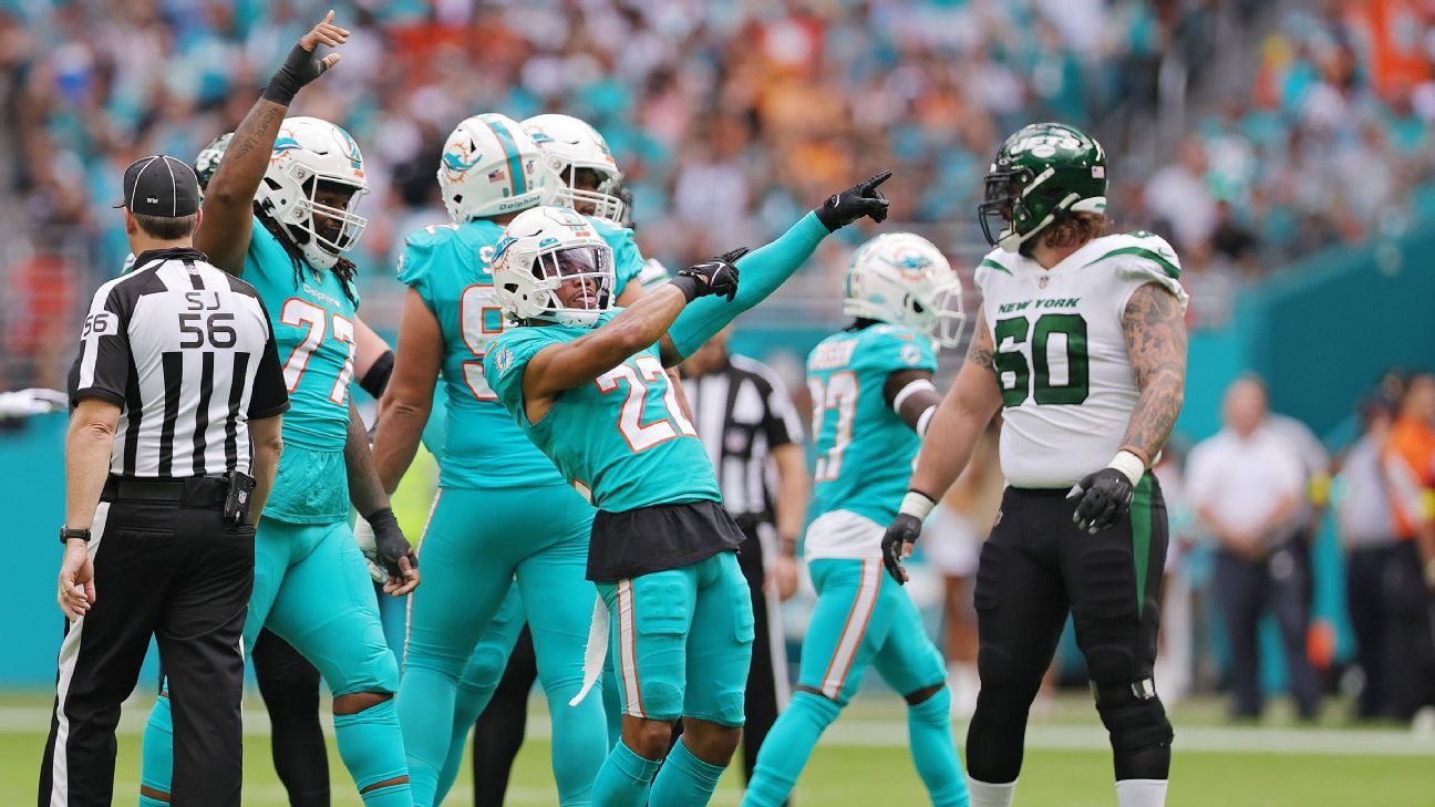 <div>Dolphins hang on, earn 1st playoff spot since '16</div>